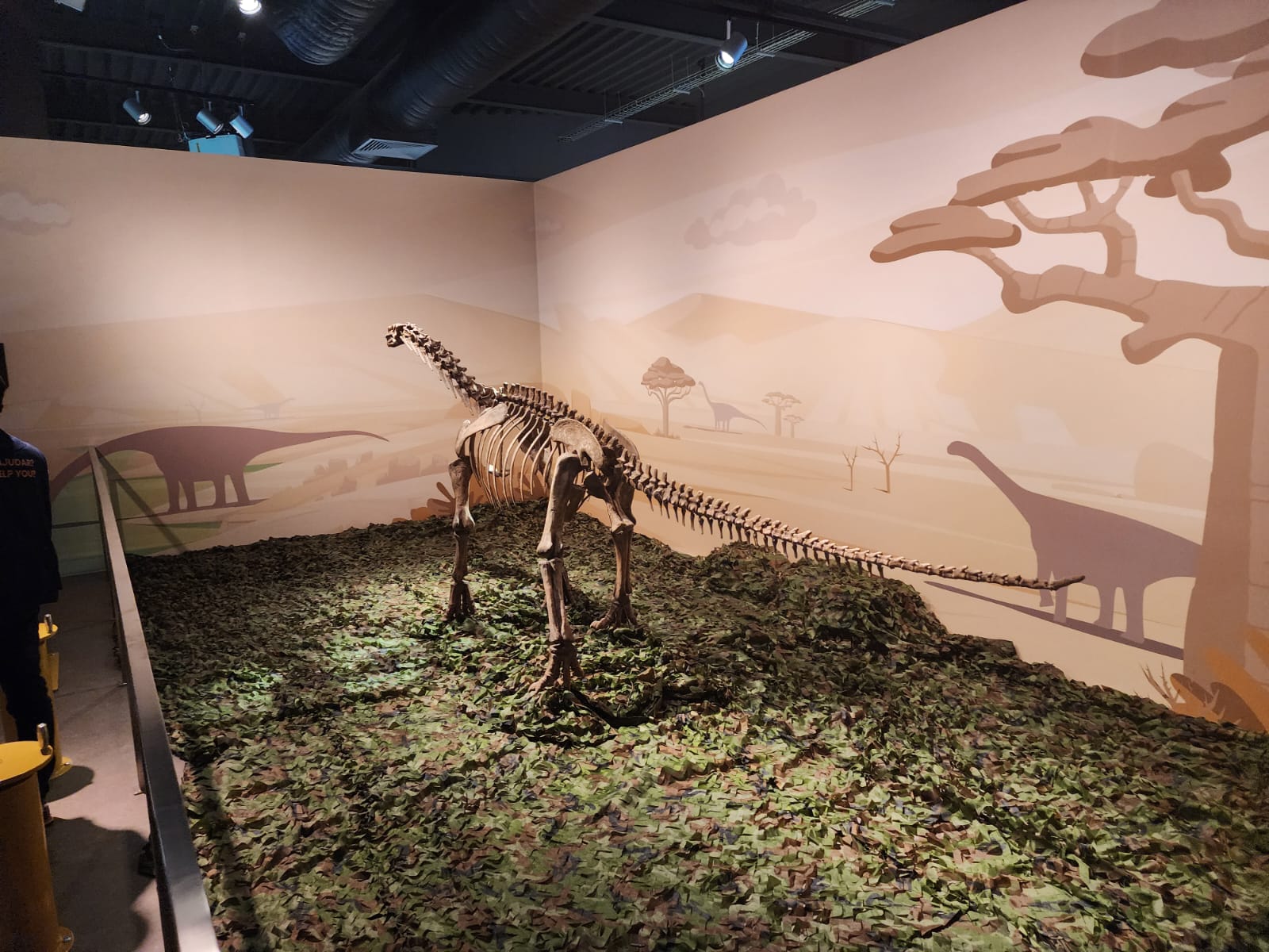 Scientific Discovery